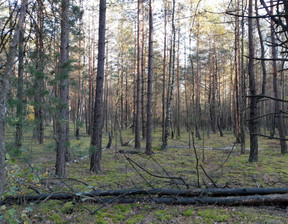 Leśne na sprzedaż, Kolneński Mały Płock Kąty, 30 000 zł, 4100 m2, 2266