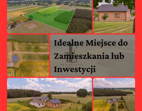 Działka na sprzedaż, Płoński Nowe Miasto Czarnoty, 1 550 000 zł, 130 000 m2, EC007966182211