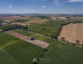 Rolny na sprzedaż, Wrocławski Żórawina, 250 000 zł, 2773 m2, TRA-GS-3592