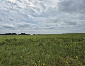 Działka na sprzedaż, Jarociński (Pow.) Żerków (Gm.) Żerków, 445 300 zł, 3079 m2, TTT-00000517