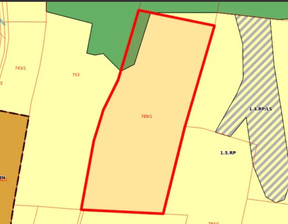 Działka na sprzedaż, Gorlicki (Pow.) Bobowa (Gm.) Stróżna, 86 500 zł, 13 040 m2, TTT-00000645