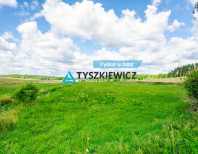 Rolny na sprzedaż, Chojnicki Chojnice Chojniczki, 460 000 zł, 4600 m2, TY178903