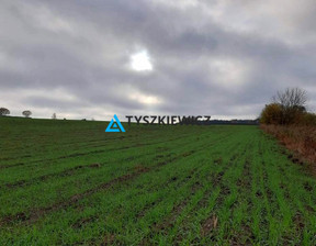 Działka na sprzedaż, Starogardzki Starogard Gdański Siwiałka, 301 400 zł, 3014 m2, TY570991