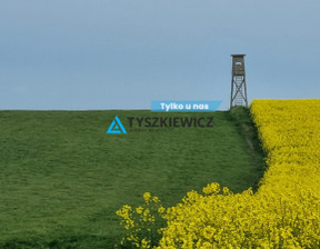 Rolny na sprzedaż, Gdański Trąbki Wielkie Mierzeszyn, 3 456 000 zł, 115 200 m2, TY901032