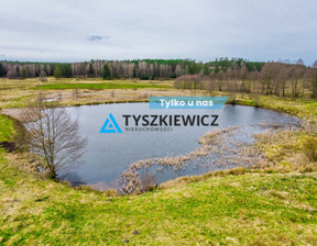 Działka na sprzedaż, Bytowski Trzebielino Zielin, 299 900 zł, 59 900 m2, TY150497