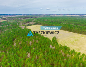 Działka na sprzedaż, Bytowski Trzebielino Zielin, 200 000 zł, 34 300 m2, TY652365