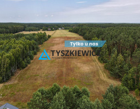 Działka na sprzedaż, Starogardzki Kaliska Strych, 875 000 zł, 35 000 m2, TY586046