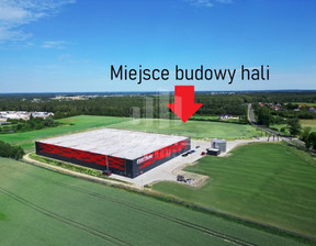 Magazyn, hala do wynajęcia, Starogardzki Starogard Gdański Koteże Płaczewska, 215 000 zł, 10 000 m2, 24/9862/OHW