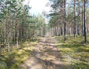 Leśne na sprzedaż, Starogardzki Lubichowo Krępki, 79 000 zł, 12 611 m2, 1874/9862/OGS