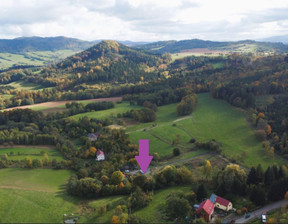 Dom na sprzedaż, Jeleniogórski Jeżów Sudecki, 1 290 000 zł, 120 m2, 540271