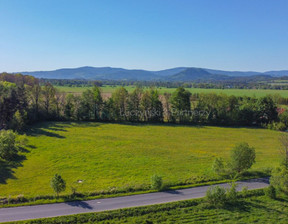 Działka na sprzedaż, Jeleniogórski Janowice Wielkie Komarno, 1 660 500 zł, 12 300 m2, 275453707