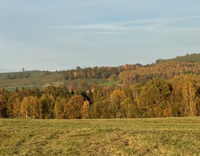 Działka na sprzedaż, Jeleniogórski Jeżów Sudecki Siedlęcin, 55 000 zł, 9400 m2, 656952