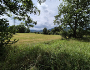 Działka na sprzedaż, Jeleniogórski Kowary, 5 250 000 zł, 35 000 m2, 117632