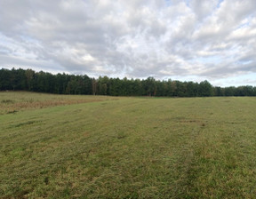 Działka na sprzedaż, Jeleniogórski Janowice Wielkie, 230 000 zł, 2000 m2, 624495486