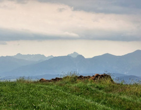 Działka na sprzedaż, Nowotarski Czarny Dunajec Piekielnik, 595 000 zł, 2042 m2, 1994864