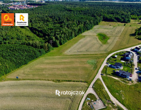 Handlowo-usługowy na sprzedaż, Gdańsk Klukowo Zenitowa, 3 400 000 zł, 12 600 m2, R-920243