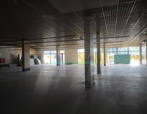 Lokal na sprzedaż, Żyrardowski Żyrardów, 4 800 000 zł, 800 m2, 91/6166/OOS