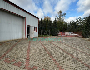 Magazyn, hala do wynajęcia, Grodziski Baranów Stanisławów, 4500 zł, 200 m2, 33/6166/OOW