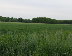 Rolny na sprzedaż, Wrocławski Długołęka Byków, 300 000 zł, 3000 m2, 1517