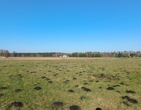 Rolny na sprzedaż, Stargardzki Kobylanka Cisewo, 395 000 zł, 21 515 m2, 3564/7376/OGS