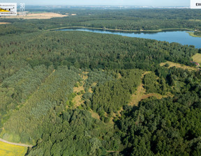 Działka na sprzedaż, Gryfiński Stare Czarnowo Binowo, 232 280 zł, 11 614 m2, 3665/7376/OGS