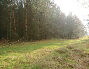 Rolny na sprzedaż, Choszczeński Bierzwnik Starzyce, 130 000 zł, 4818 m2, INB20391