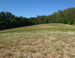 Działka na sprzedaż, Choszczeński Recz, 134 577 zł, 35 415 m2, INB20508