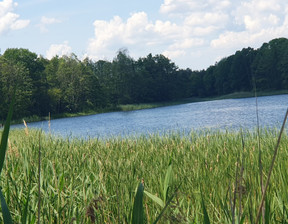 Działka na sprzedaż, Choszczeński Bierzwnik Zieleniewo, 47 000 zł, 3030 m2, INB20563