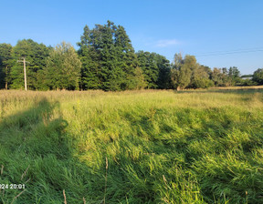 Handlowo-usługowy na sprzedaż, Policki Police Sierakowo, 1 300 000 zł, 41 606 m2, INB20578