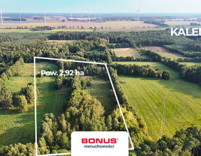 Działka na sprzedaż, Kamieński Świerzno Kaleń, 150 000 zł, 29 200 m2, BON46420