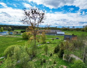 Działka na sprzedaż, Kamieński Wolin, 350 000 zł, 4824 m2, SWN32229