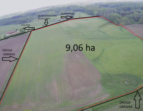 Działka na sprzedaż, warmińsko-mazurskie ostródzki Morąg Strużyna, 2 000 000 zł, 90 600 m2, gratka-37271055