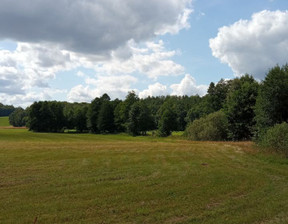 Działka na sprzedaż, pomorskie gdański Przywidz Trzepowo, 199 000 zł, 2995 m2, gratka-32383453