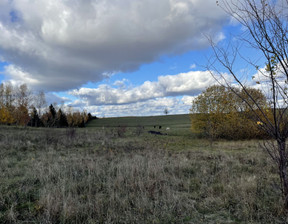 Działka na sprzedaż, warmińsko-mazurskie ostródzki Morąg Wilnowo, 240 000 zł, 1540 m2, gratka-38234457