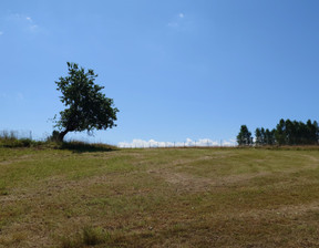 Działka na sprzedaż, dolnośląskie kłodzki Nowa Ruda Bartnica, 160 000 zł, 2140 m2, gratka-35336729