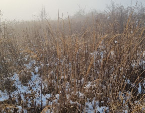 Działka na sprzedaż, podkarpackie przemyski Przemyśl Wapowce, 150 000 zł, 5400 m2, gratka-39040875