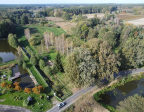 Działka na sprzedaż, lubuskie krośnieński Dąbie Trzebule, 796 000 zł, 59 500 m2, gratka-37887877