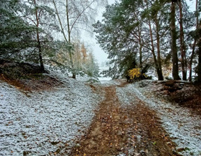 Działka na sprzedaż, wielkopolskie kaliski Mycielin Korzeniew, 61 500 zł, 32 900 m2, gratka-34122957