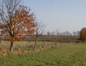 Działka na sprzedaż, wielkopolskie szamotulski Kaźmierz Bytyń Jeziorna, 1 290 000 zł, 11 444 m2, gratka-4647466