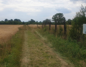 Działka na sprzedaż, śląskie tarnogórski Tarnowskie Góry Rybna Kosynierów, 235 000 zł, 781 m2, gratka-27069095