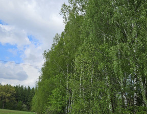 Działka na sprzedaż, mazowieckie miński Cegłów Piaseczno, 120 000 zł, 3570 m2, gratka-34323305