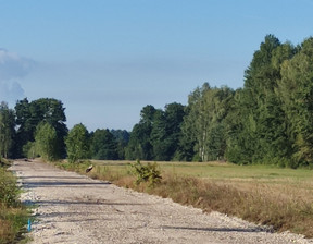 Działka na sprzedaż, łódzkie bełchatowski Drużbice Zwierzyniec, 50 000 zł, 1000 m2, gratka-36580411