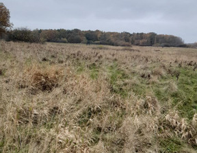 Działka na sprzedaż, zachodniopomorskie sławieński Darłowo Wicie, 110 000 zł, 3000 m2, gratka-38394789