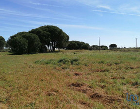 Działka na sprzedaż, Portugalia Santo Isidro De Pegões, 72 383 dolar (277 227 zł), 19 000 m2, 100206443