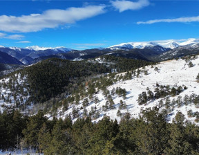 Działka na sprzedaż, Usa Idaho Springs 112 Mule Deer Trail, 125 000 dolar (518 750 zł), 11 654,95 m2, 97013764