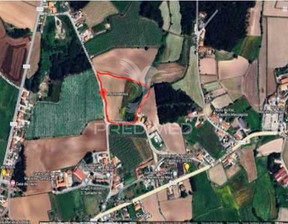 Działka na sprzedaż, Portugalia Vila Do Conde Macieira da Maia, 542 348 dolar (2 174 815 zł), 20 000 m2, 96385503