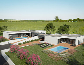 Dom na sprzedaż, Portugalia Sobral De Monte Agraço, 727 090 dolar (2 930 173 zł), 303 m2, 98500702