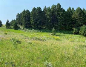 Działka na sprzedaż, Usa Livingston TBD Moose Meadows Road, Park County, MT, 395 000 dolar (1 615 550 zł), 80 127,76 m2, 99276430