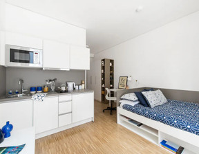 Mieszkanie do wynajęcia, Niemcy Frankfurt Am Main Mainzer Landstraße, 1030 dolar (4028 zł), 19 m2, 95745409