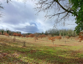 Działka na sprzedaż, Francja Bach, 34 292 dolar (140 255 zł), 11 755 m2, 101519737